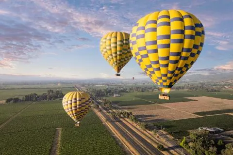 Wine Country Balloon Flight: Sonoma to Napa Valley